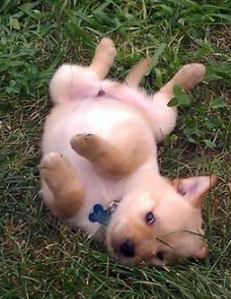 1146645_10201069373630436_2028800667_n